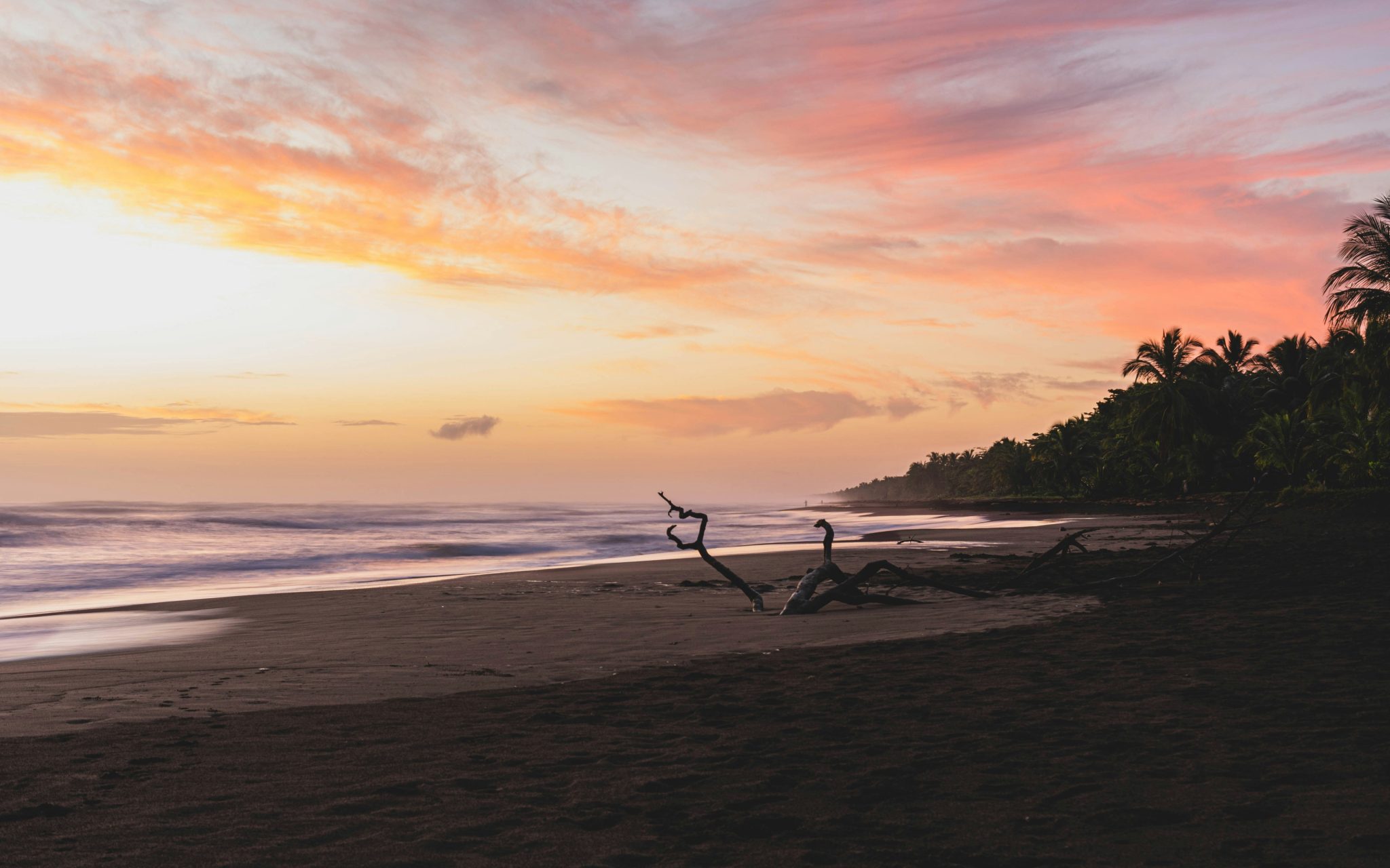 How to get from San José to Tortuguero (Costa Rica)