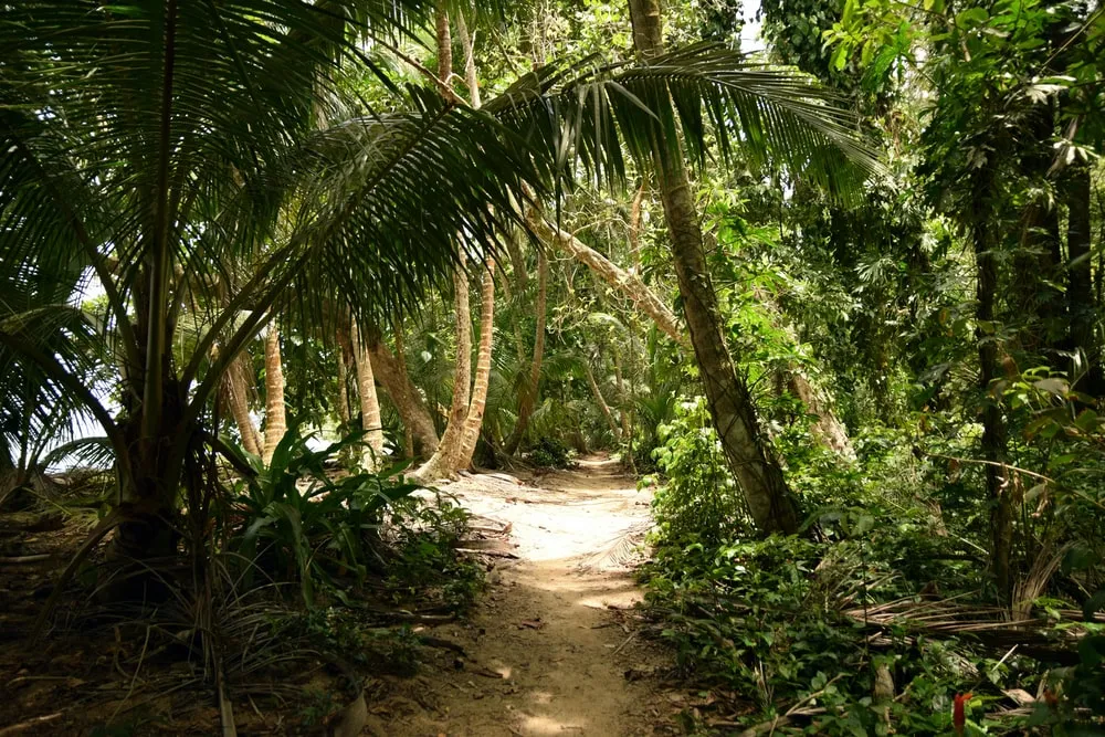 Tortuguero, Costa Rica: wild, wet and worth it