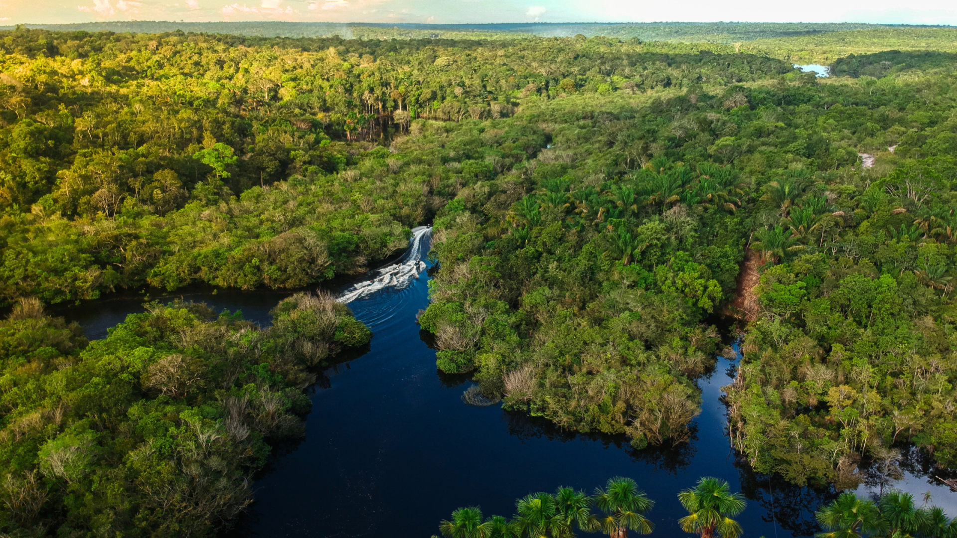 From Quito to Cuyabeno: a guide for getting into the Amazon