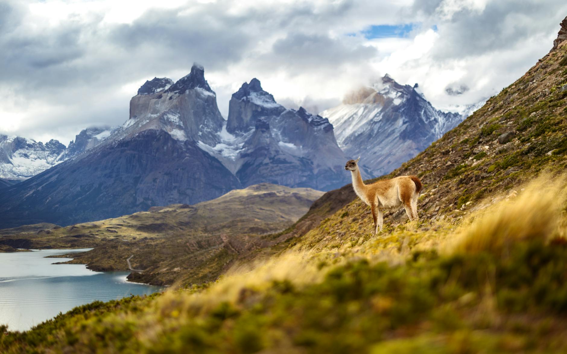 Torres del Paine Hotels: where to stay in and around one of the world’s most spectacular parks